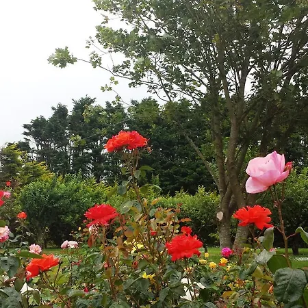 Bed & Breakfast Groveside Farm 4*